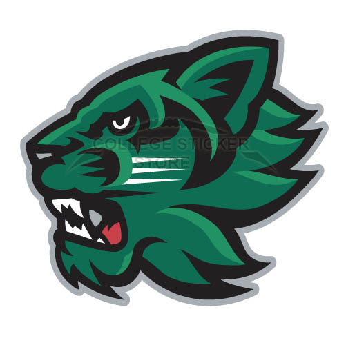 Customs Binghamton Bearcats 2001 Pres Secondary Iron-on Transfers (Wall Stickers)NO.4005